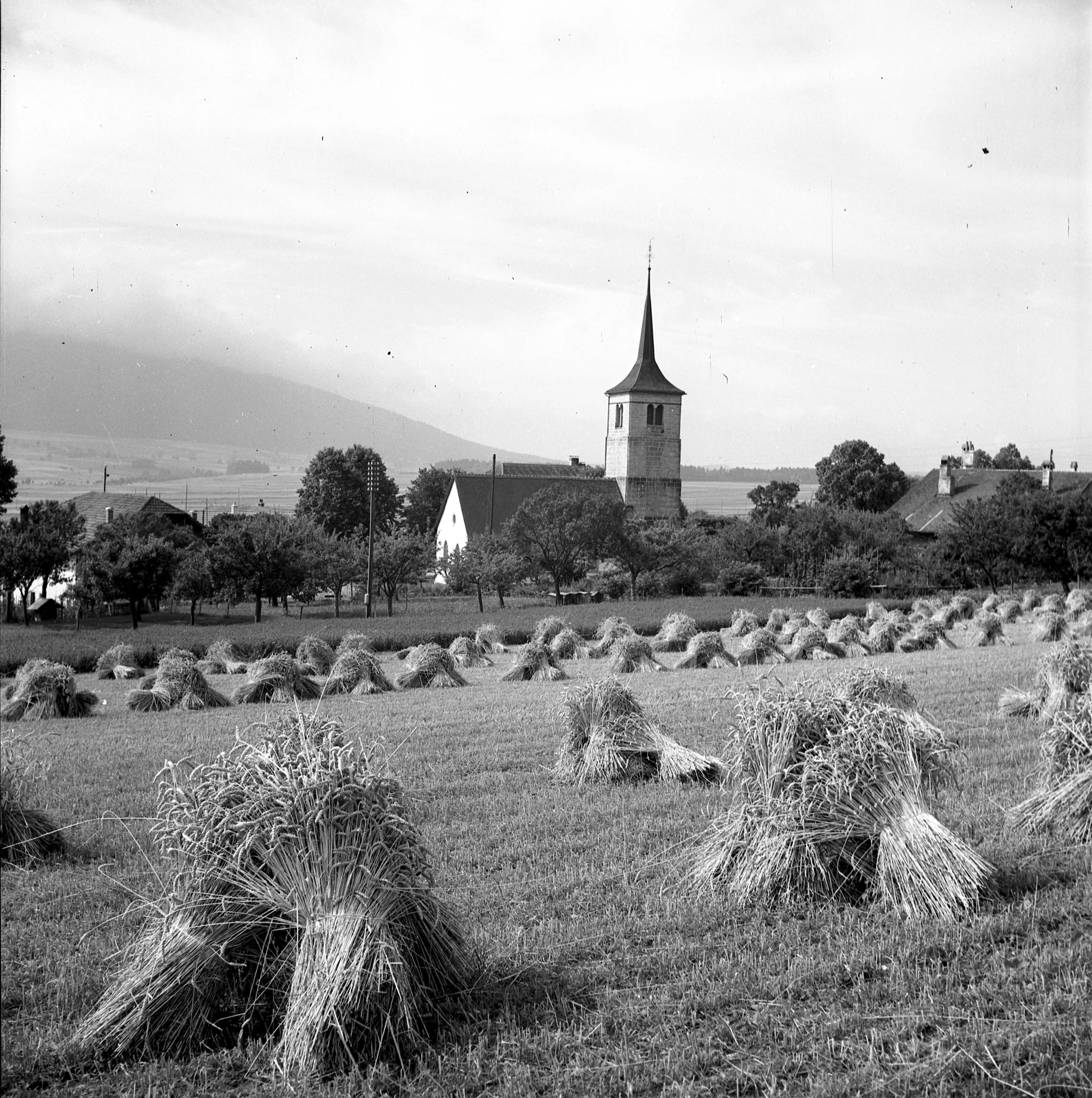 Les moyettes devant le temple, 1943. Bibliothèque de la Ville, La Chaux-de-Fonds, Département audiovisuel, Fonds Max Francis Chiffelle