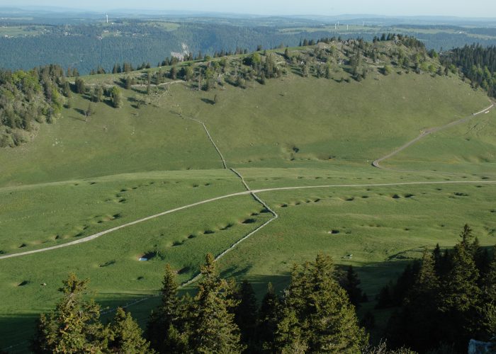 2411fc658496-Balade2-Dolines-Chasseral-700x500