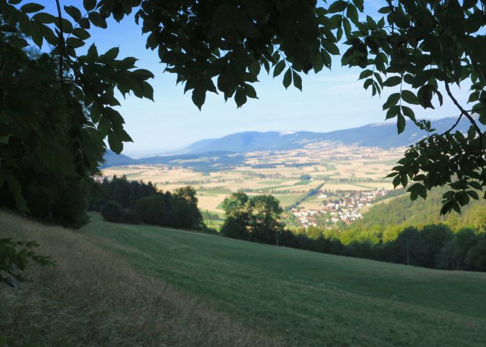 Chemins chouettes — Via La Rincieure