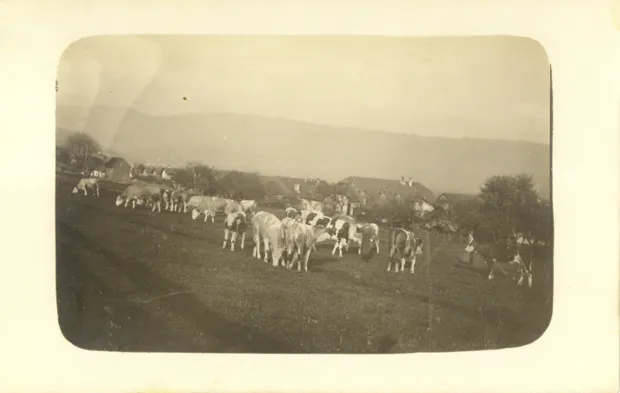 Chézard — archive photographique 83